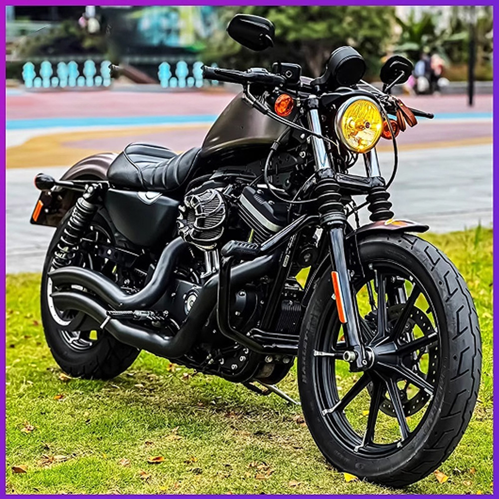 For Harley Sportster 883 1200  - огляд і ціна Oil Drain Tank